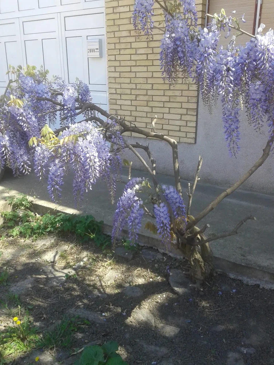 IMG20190421WA0009.jpg
