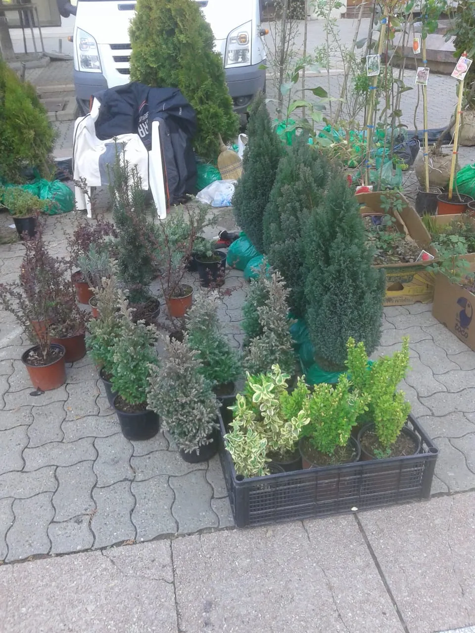 IMG20190414WA0002.jpg