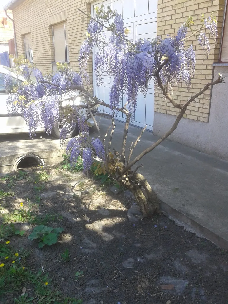 IMG20190421WA0004.jpg