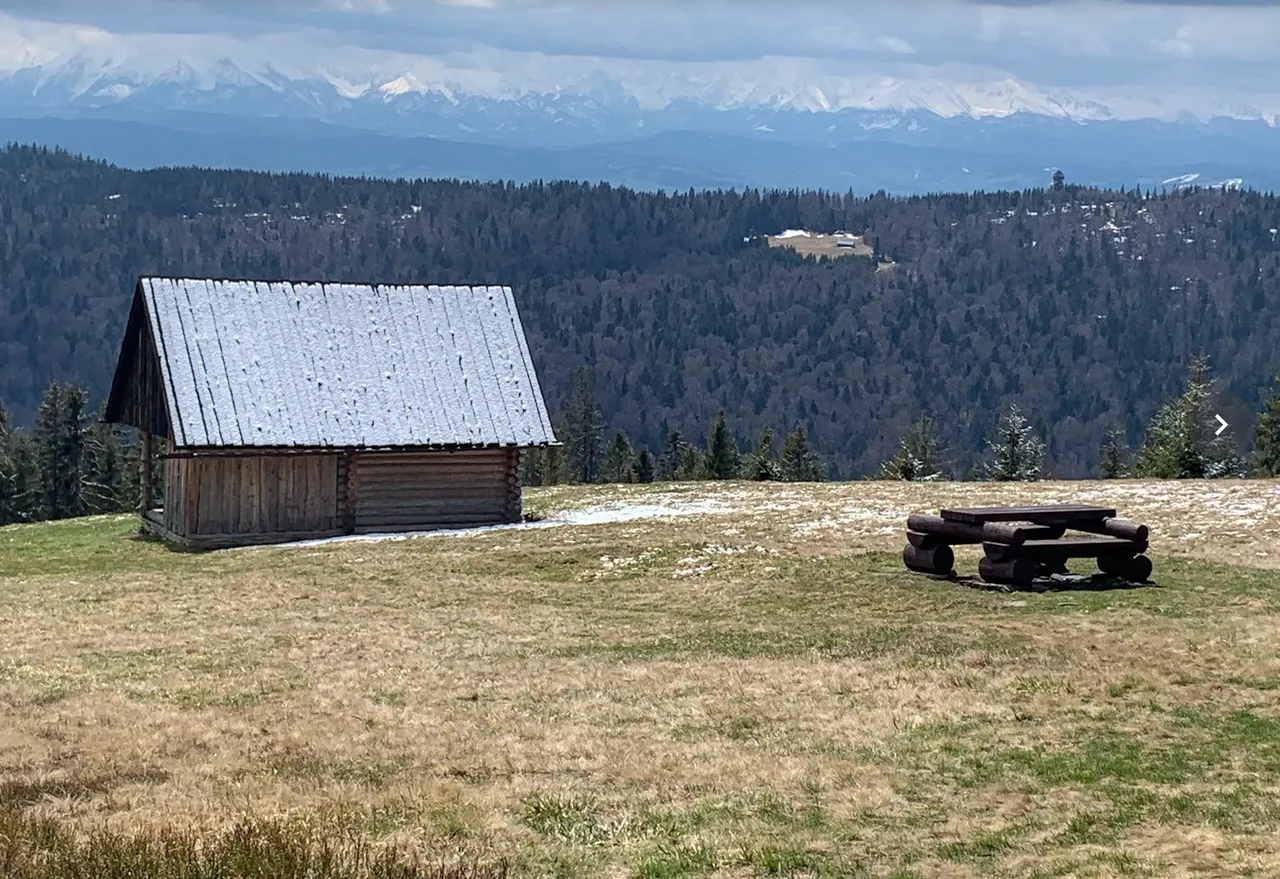 Hala pod Jaworzyną Kamienicką