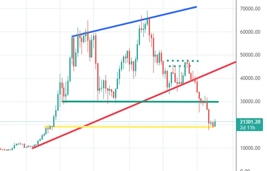 Surfing The Market 13