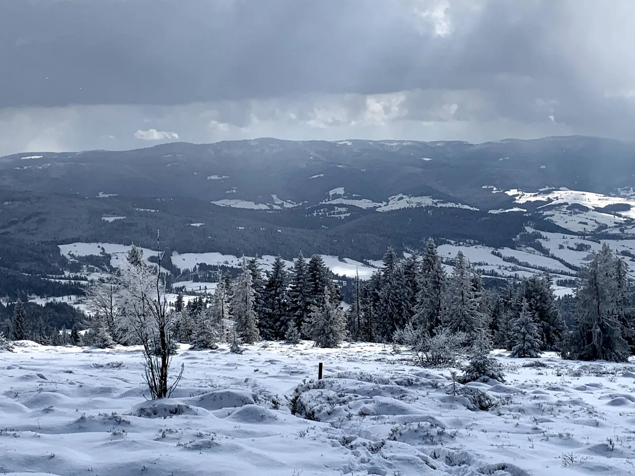 Widok na Gorce i Tatry z Ćwilina