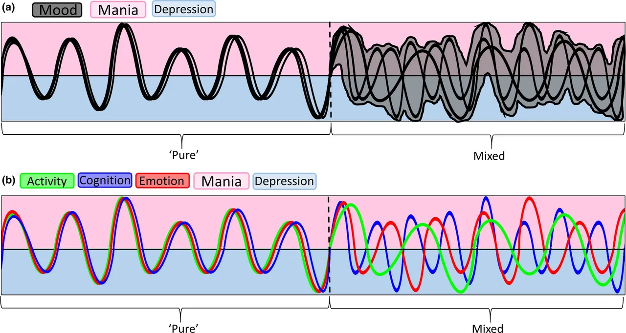 O Estado Misto(Escritos Bipolares). The Mixed State(Bipolar Writi...