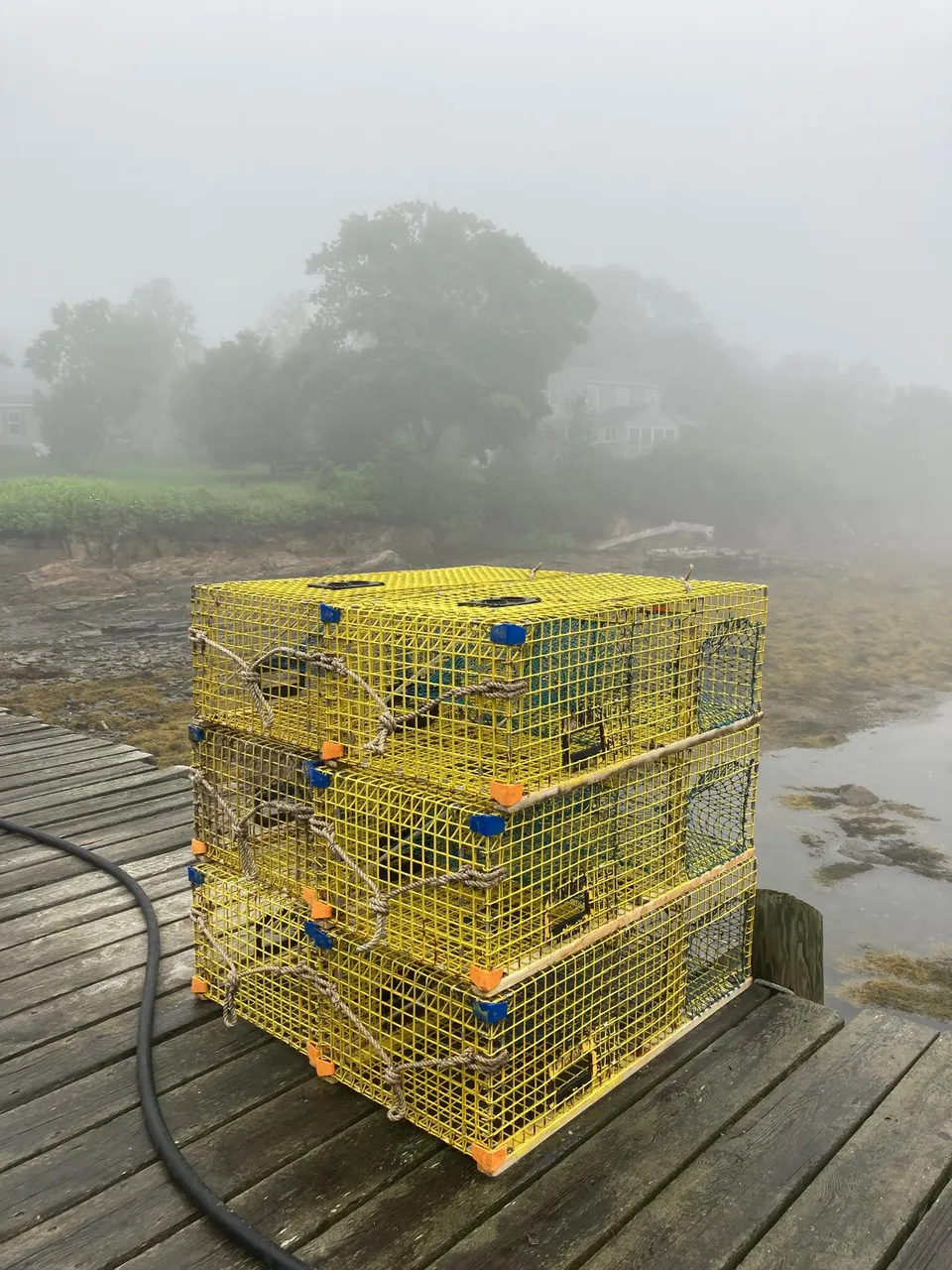 Lobster Traps