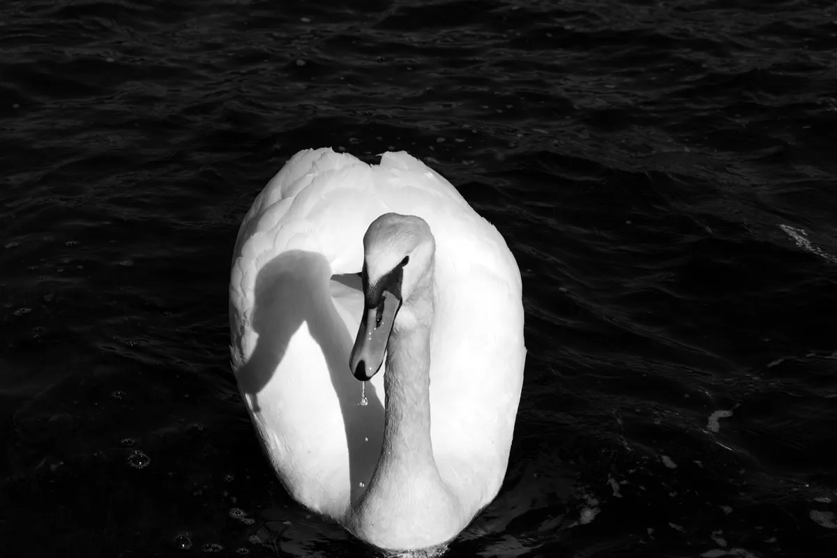 DSC_18.JPG