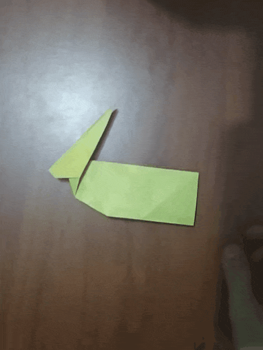 Paso12.gif