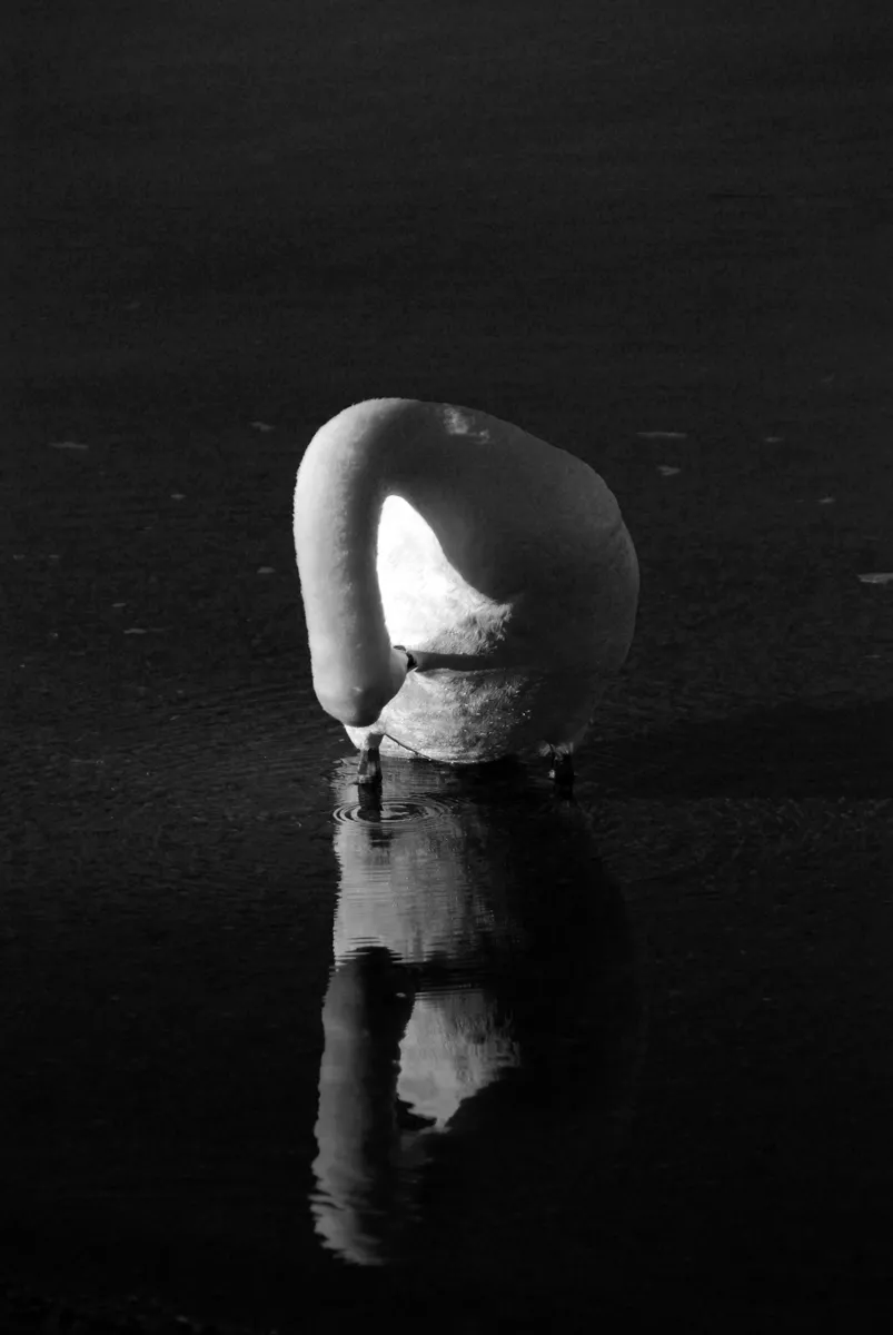 DSC_42.JPG