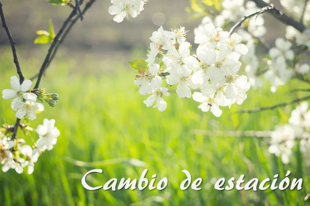 imagen.png