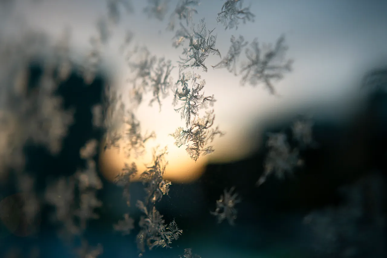 frost3.jpg