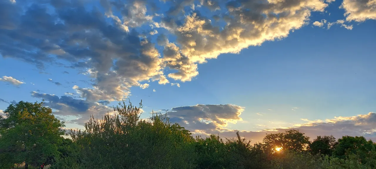 skypic.jpg