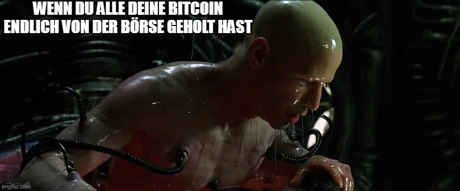matrix.jpg