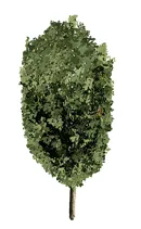 imagen.png