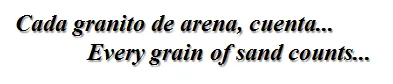 imagen.png