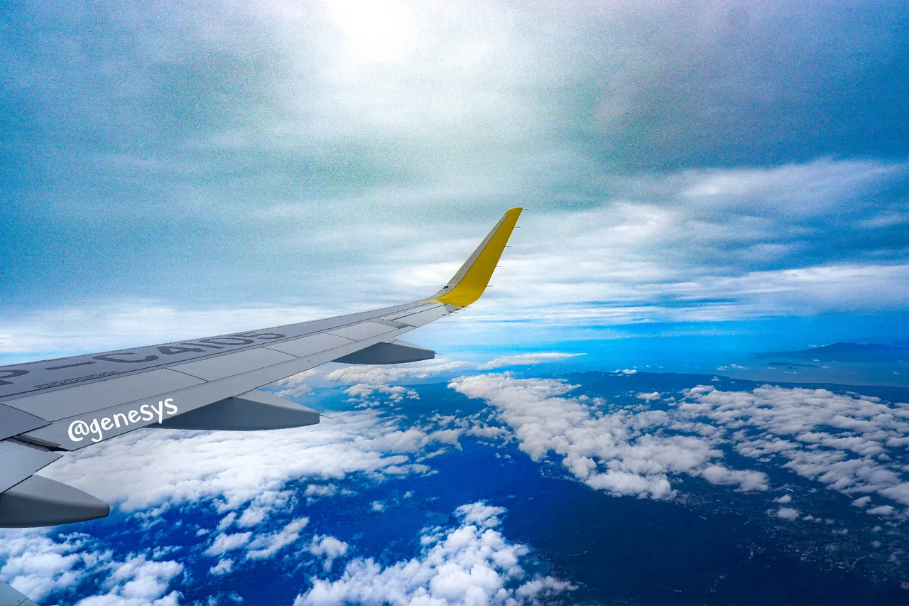 Flight.jpg