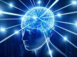 brain.jpeg