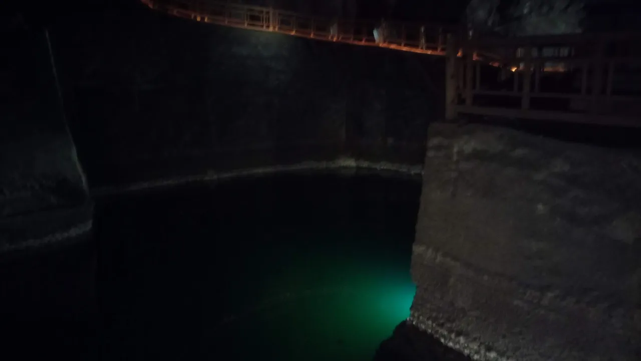 Fancy a swim?