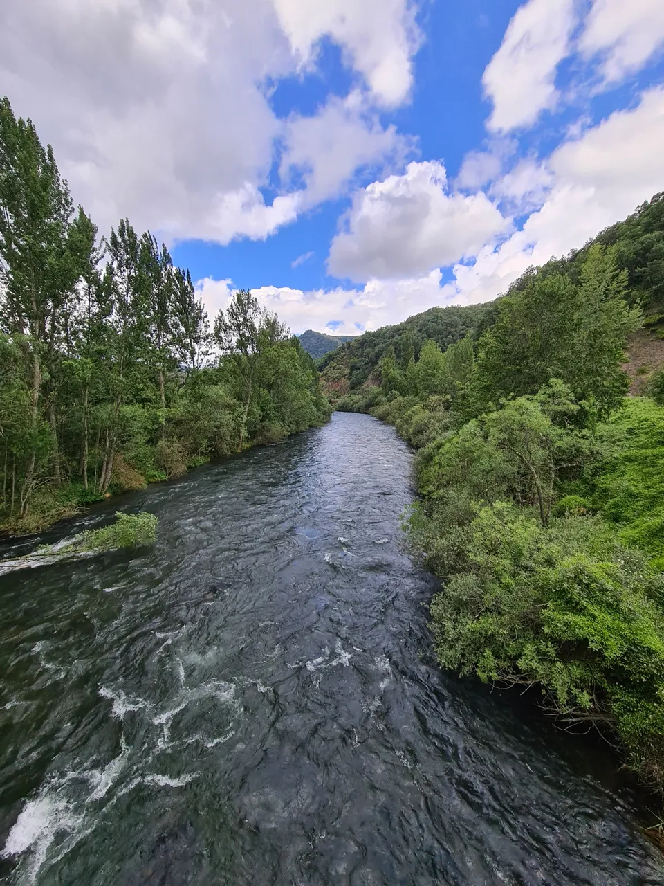 Esla river from Crémenes town bridge.