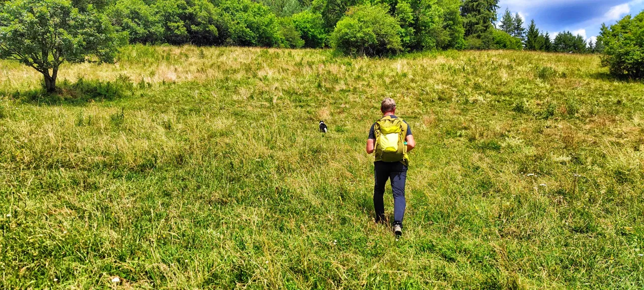 The wanderer.