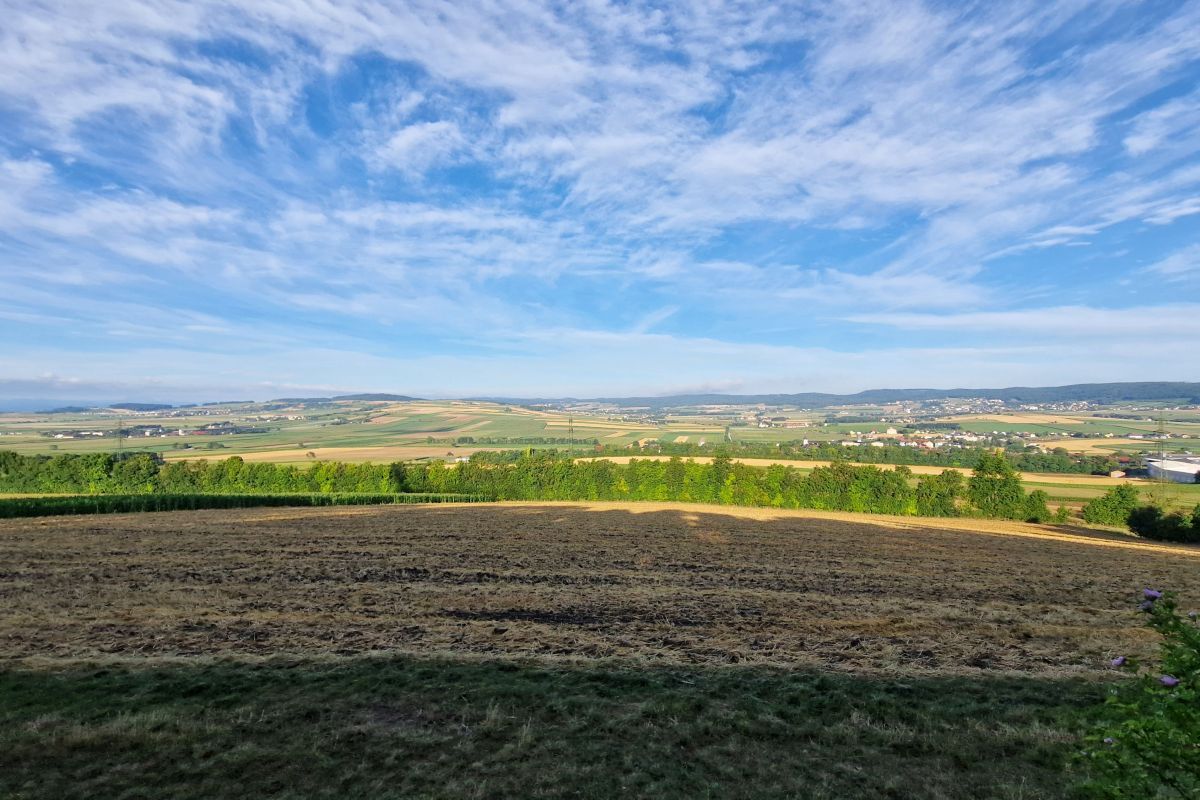 Outlook