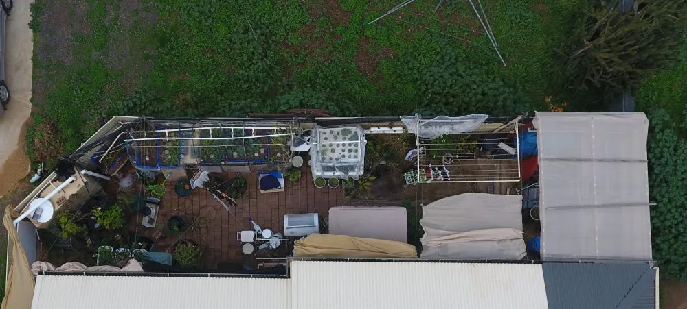 Ligaya Garden back yard June 2020 drone shot