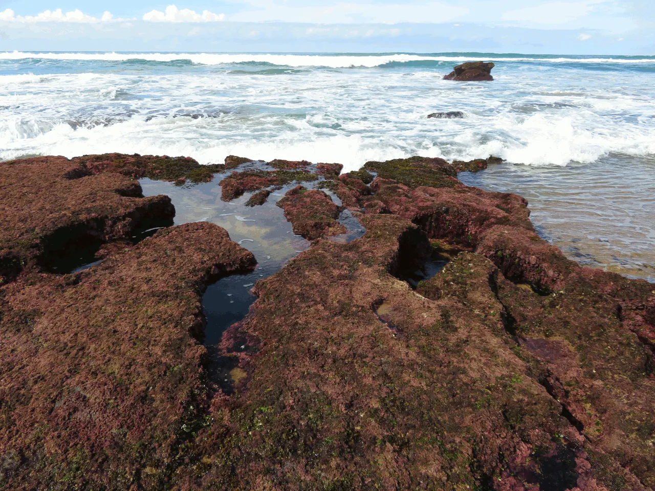 Tidal Pools - Mission Rocks