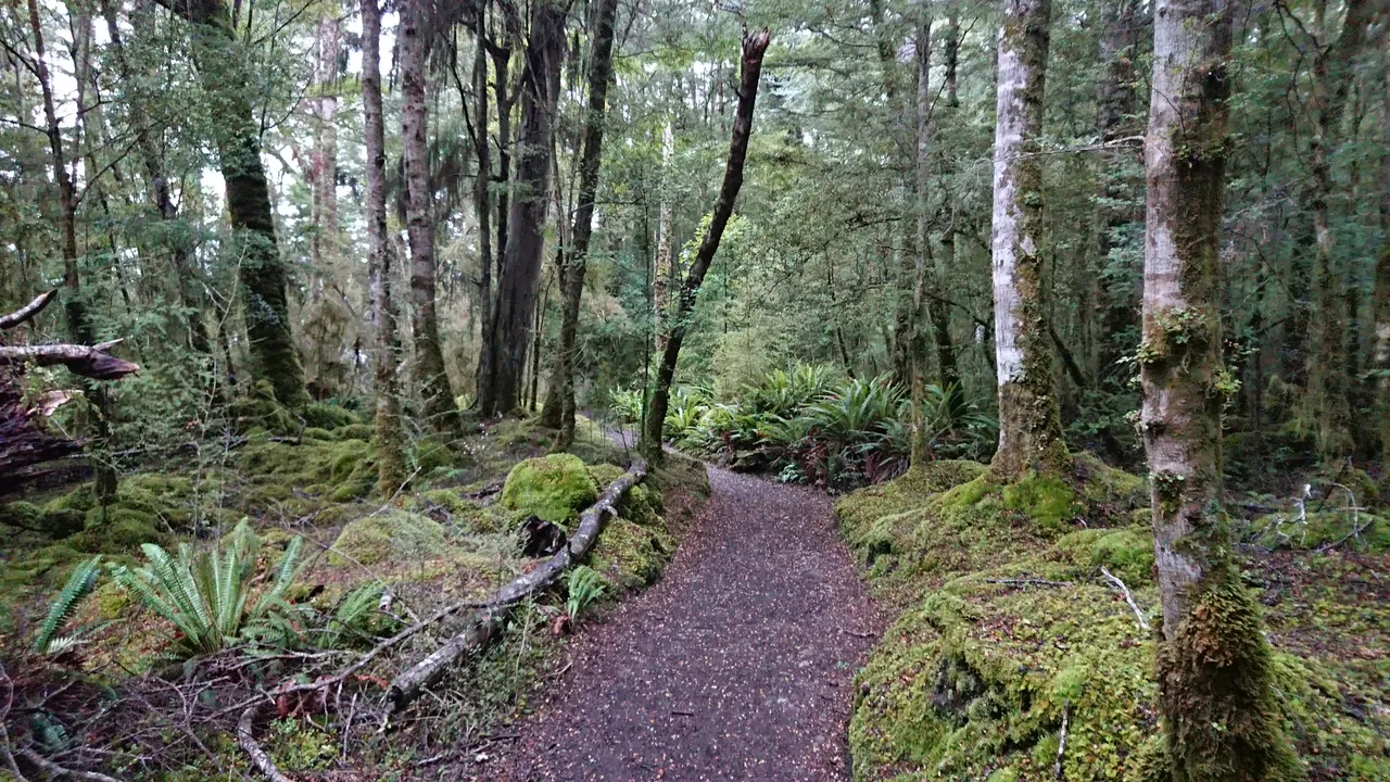 "Alright, you got it! What say you we carry on down this path here and get you back to the water"