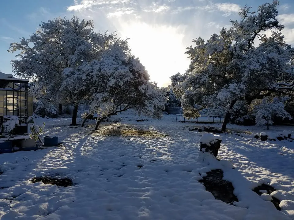 Snow2.jpg