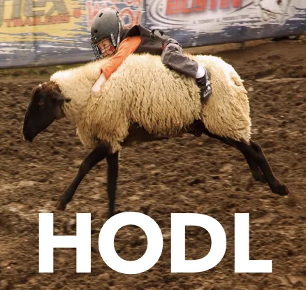 HODL2.png