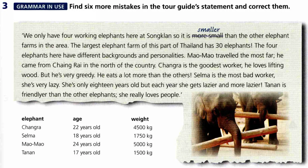 Find mistakes and correct them. Find Six more mistakes in the Tour Guide Statement and correct them. Much mistakes or many mistakes. Find Six more adjectives.