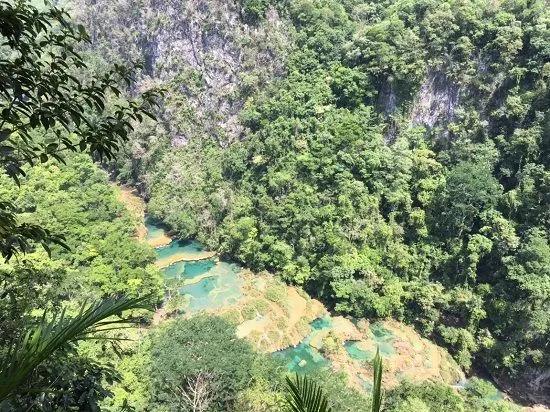 semuc.jpg