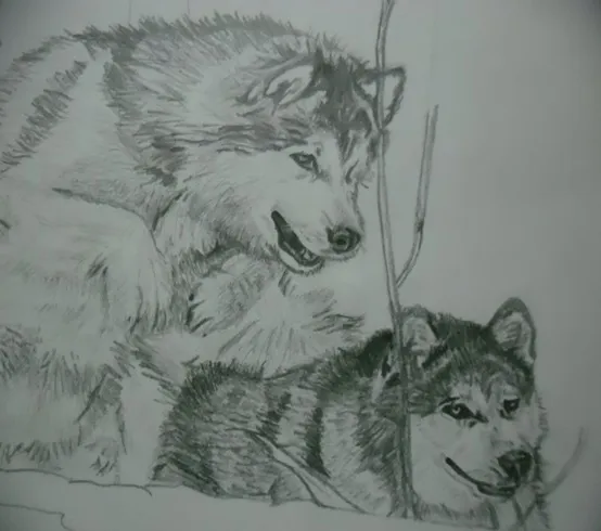 pass3.jpg