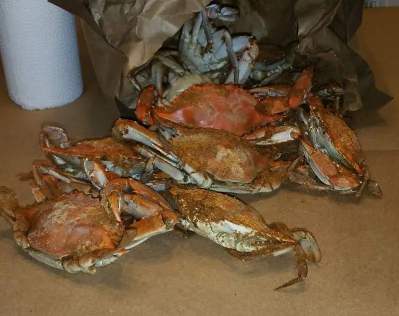 crabs.jpg