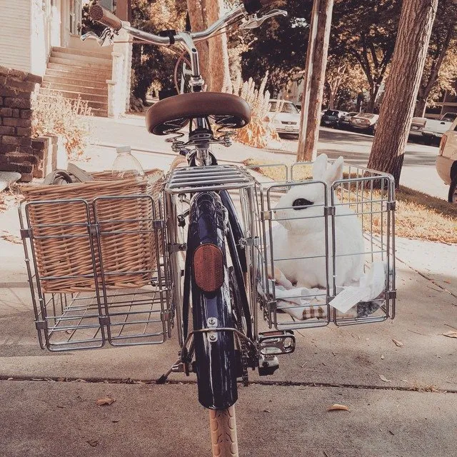 bike3.jpg