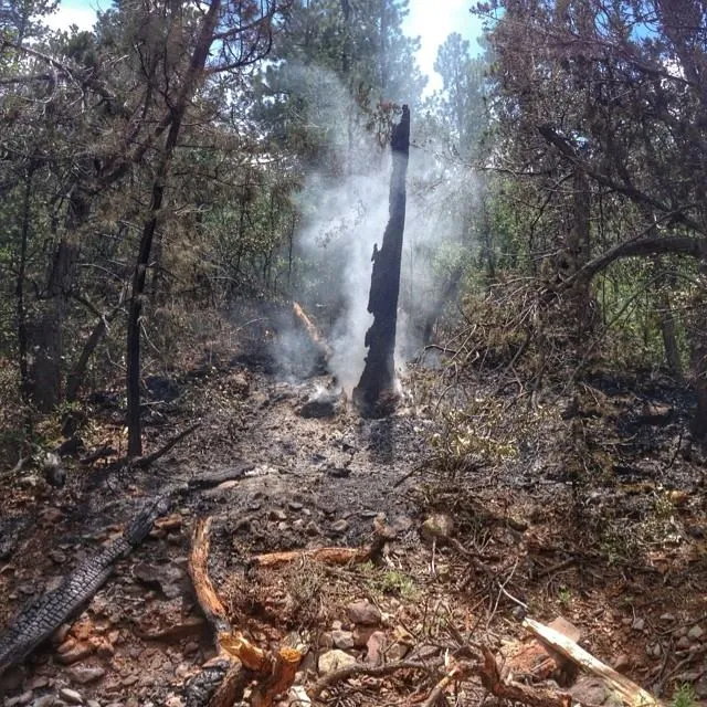 fire1.jpg