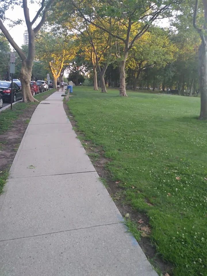 1park.jpg