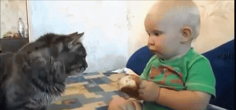 share.gif