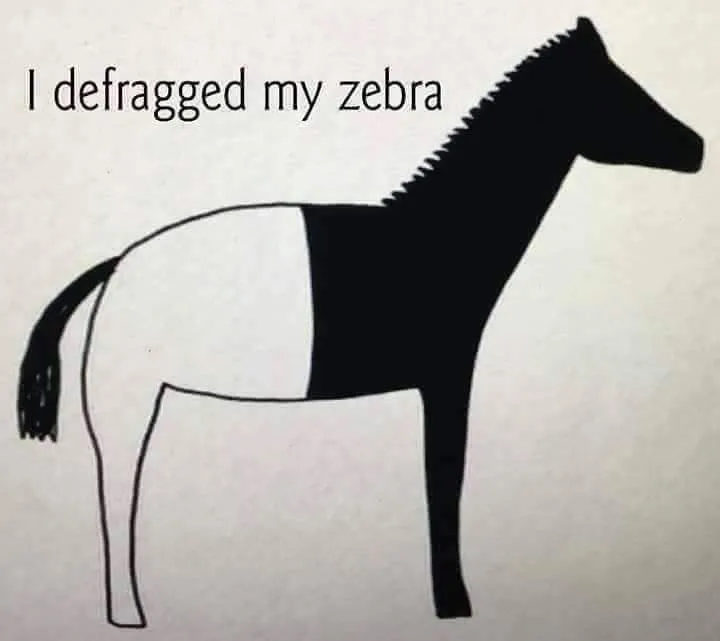 zebra.jpg