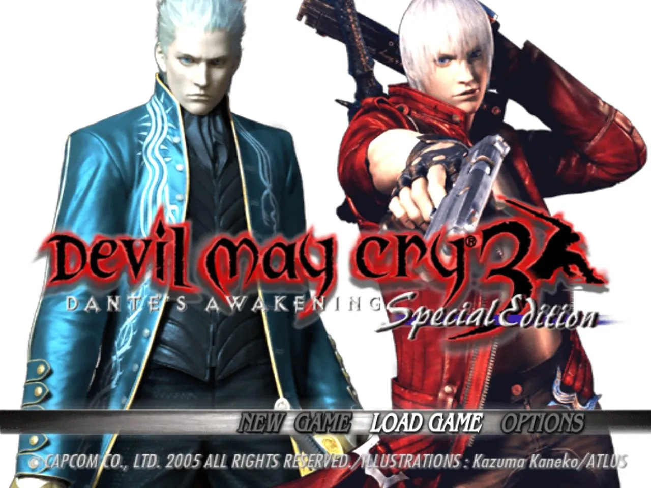 dmc31.jpg