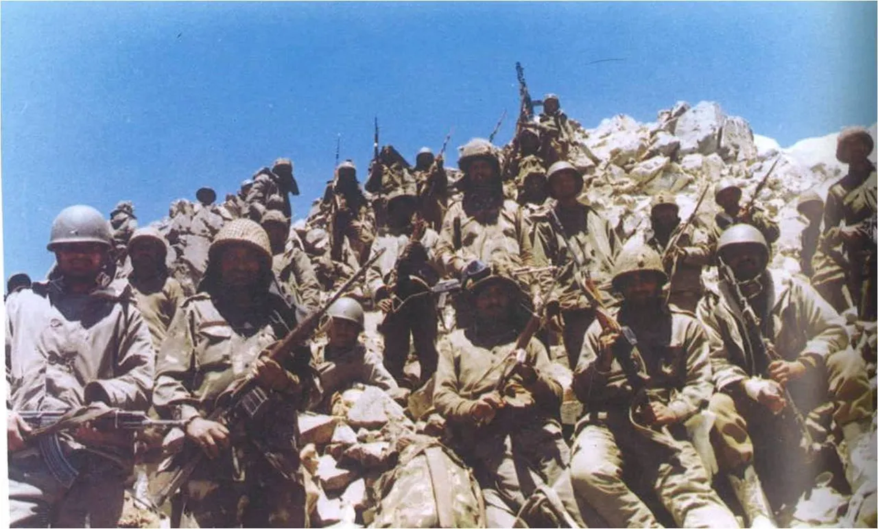 army5.jpg