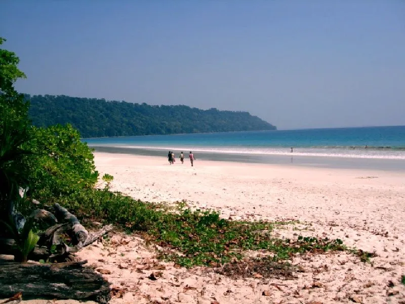 Beach.jpg