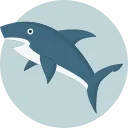 shark.png