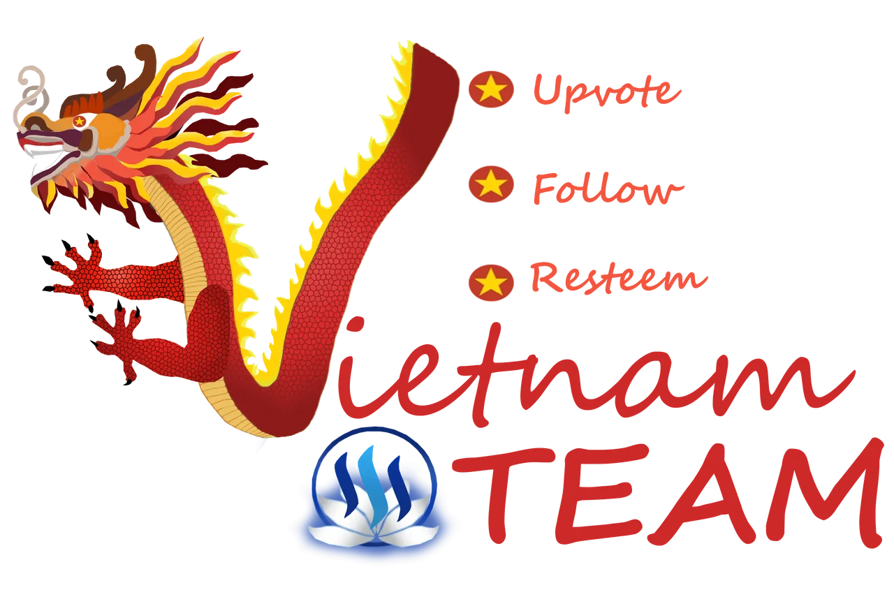 viet1.png