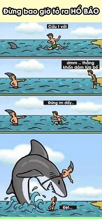 shark.png