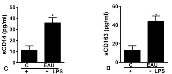 Figure 2 C&D