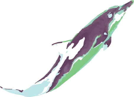 dolpf.png