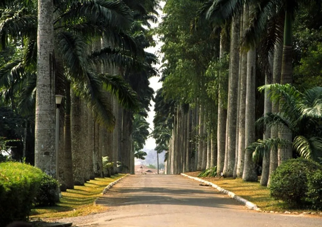aburi.jpg