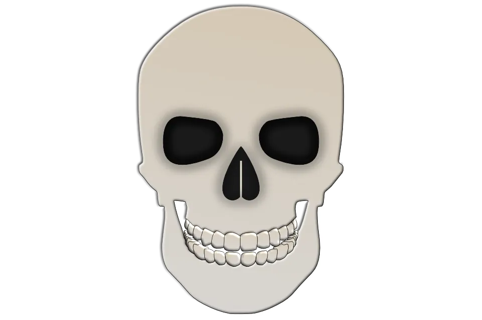 skull