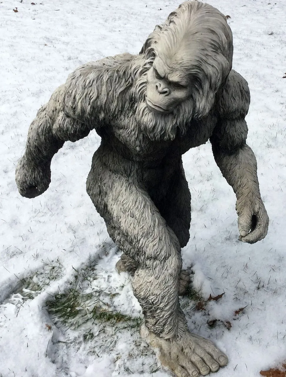 Yeti2.jpg