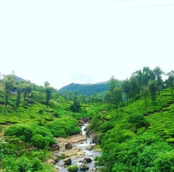 green.jpg