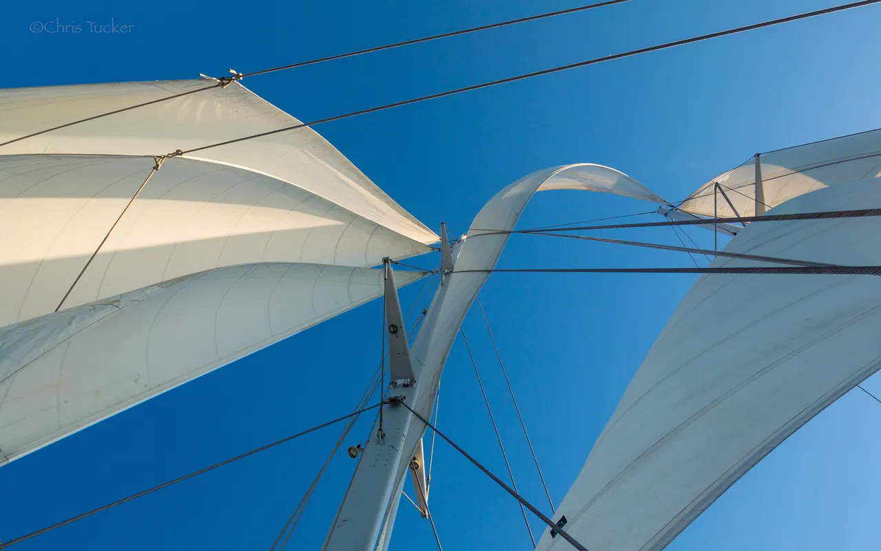 sails.jpg